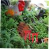 Parliky 5pcs Miniature Gate Japanese Decor for Micro Landscape Zen Garden Art Realistic PVC Craft view 3