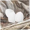 BESPORTBLE 30pcs Dove Egg Fake Eggs Simulation Pigeon Eggs Breeding Props Induced Eggs view 4