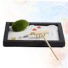 ibasenice Zen Garden Miniature Landscape Table Meditation Garden Decor Desktop Miniature Sands view 3