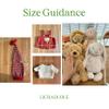 LICHADUOLE Bear Clothes Outfit,Clothes for Stuffed Animals and 30cm littlebear,Christmas Doll Clothes 9-12 inch Teddybear Clothes,Clothes only Without Doll.(3pc Includes 1 Jumpsuit,1 hat,1 Sweater) view 3