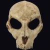 Amonkky Resin Anime Terrifying Mask Halloween Party Props Cosplay Mask Halloween Masquerade Costume Props. view 1