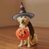 BGSHJVF Salmon Print Halloween Witch Hat Cosplay Caps Halloween Decoration Costume Accessories For Halloween Party view 4