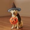 BGSHJVF Sand Dunes Print Halloween Witch Hat Cosplay Caps Halloween Decoration Costume Accessories For Halloween Party view 4