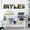 Dinosaur Wall Decal Sticker Art with Custom Name Vinyl Letters for Boys Rooms-Personalized T-Rex Dino and Velociraptor-Raptor Theme Bedroom Decor, Peel and Stick Decorations for Kids and Teens view 4