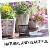 COSMEVIVI Portable Insect Observation Cage Durable Storage Basket for Plant Lovers Compact Ebony Bug Holder for Safe Insect Viewing view 3