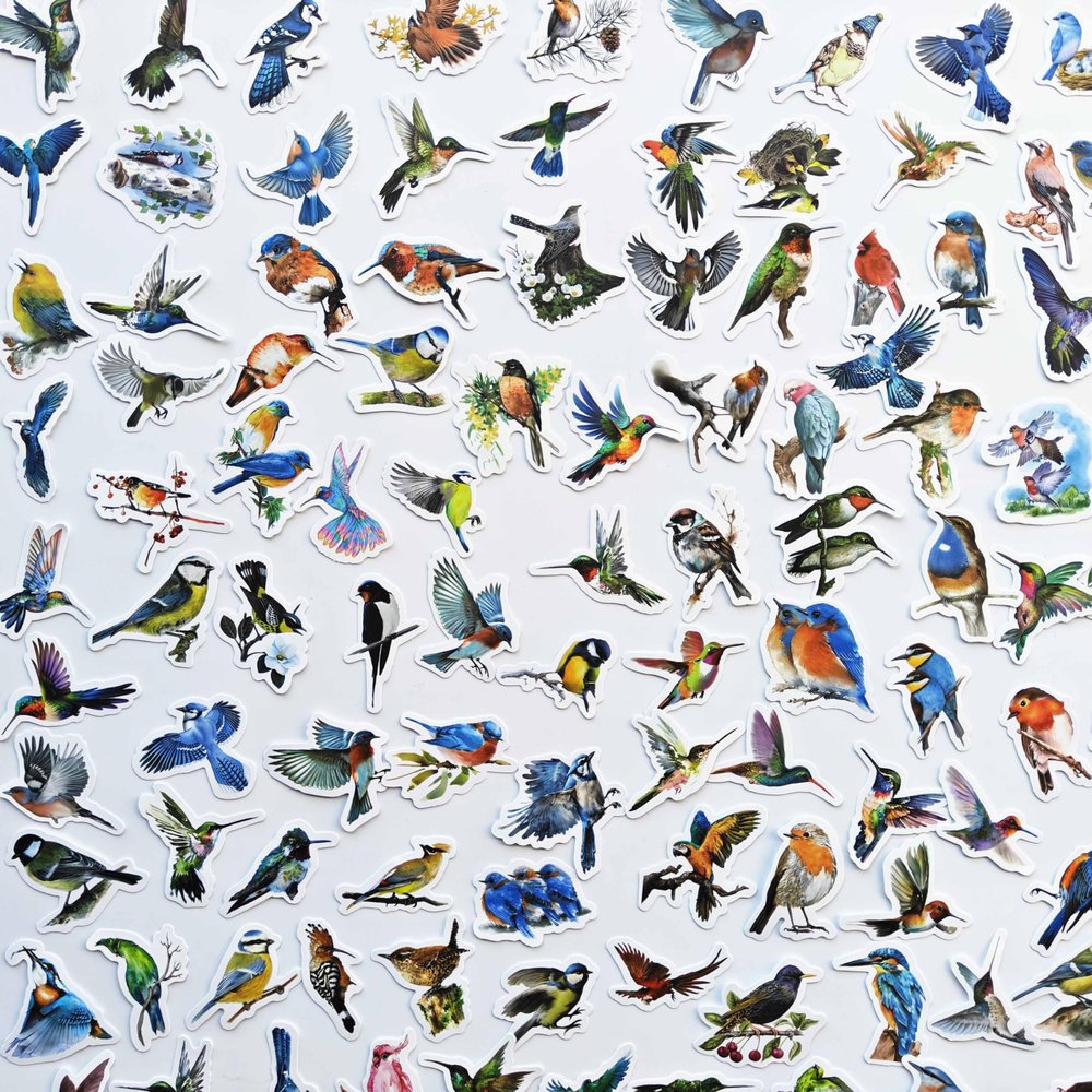 100Pcs Colorful Bird Stickers Alert Decals Bird Strike Window Decals Sparrow Magpie Woodpecker Puffin Oriole Cute