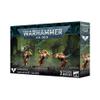 Warhammer 40,000: Blood Angels - Sanguinary Guard view 1