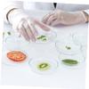 BUGUUYO 2000pcs Solid Glass Balls Mini Clear Glass Spheres for Laboratory Use Transparent Precision Balls for Chemical Experiments and Culturing view 3
