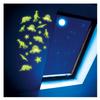 Glow n Fun Glow in the Dark Dinos view 2