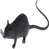 2Pcs Black Plastic Halloween Rat - Realistic Fake Mouse Toy for Party Decorations, Creepy Prank Props, Spooky April Fool's Day Trick, Lifelike Mice Figures for Halloween Party and Haunted House Decor view 3