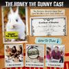 UNSOLVED CASE FILES | Honey The Bunny - A Family-Friendly Mystery Case to Solve view 3