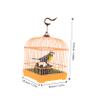 ibasenice Realistic Sound Activated Bird Toy Animated Chirping Parrot in Cage with Movements Compact Miniature Design for Family Fun and Entertainment No Batteries Included view 2