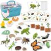 6 Set Montessori Life Cycle Learning Toys - Early Education Activities for Kids view 1