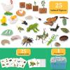 6 Set Montessori Life Cycle Learning Toys - Early Education Activities for Kids view 2