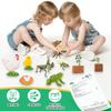 6 Set Montessori Life Cycle Learning Toys - Early Education Activities for Kids view 4