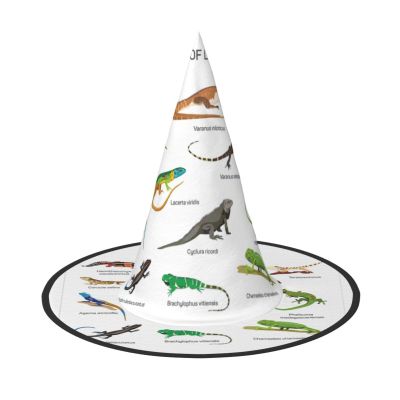 YQxwJL Different Types Of Lizard Print Halloween Witch Hat,Wizard Hat Decorations,Hanging Witch Hats, For Party Masquerade