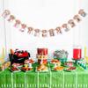 1st Birthday Football Banner - 12 Months Photo Decoration, Flag Banner, Milestone Wreath view 3