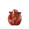 WOTZOV Pet Teapot Pet Teapot Zisha Pet Teapot Tea Game Can Grow Tea Set Home Office view 1