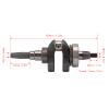 Tapered Crankshaft, Engine Crankshaft kit, 5kw Single Cylinder Air Cooler Crankshaft Assembly with Gear 6308 Bearing for 188F Generator view 4