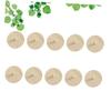 TOYANDONA 10pcs DIY Toy Unfinished Top Gyroscope Tops for Beige Wooden view 4