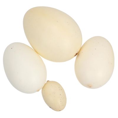 CHILDWEET 4pcs Easter Stuff Bird Eggs Model Simulation Eggs Lifelike Toys for Boy Girl's Painting