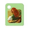 Galakto Audio Token: Bohlmann - EIN Mdchen namens Willow, Audiobook for Children from 9 Years, Playing Time Approx. 215 Minutes view 2