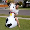 Hearthsong Hop N Go Inflatable Bouncy Cow Riding, Hopping Toys for Kids Ages 5+ - Ride On Bouncer Animal Hopper Jumping Toys for Outdoor Games (2 Pac view 4