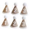Alasum 6pcs Boy Girl Birthday Caps Cute Linen Party Hats for Boy Girl Comfortable Eye-catching for Birthday Celebrations Photo Props Creative Costumes for Boys and Girls view 1