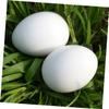 BESPORTBLE 28pcs Lifelike Plastic Pigeon Eggs for Decoration and Hatching Induction Creative Fake Lightweight and Smooth Design for Pigeon Breeding and Nesting view 2