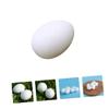 BESPORTBLE 28pcs Lifelike Plastic Pigeon Eggs for Decoration and Hatching Induction Creative Fake Lightweight and Smooth Design for Pigeon Breeding and Nesting view 4