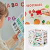 Hattung SayHouse Combo Pack Interactive Learning Set with Magnetic Alphabet, Flashcards, Talking Pen & Foldable Board  Educational Toy for Kids' Early Learning, Spelling, Vocabulary, and More view 2