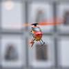 Blade RC Helicopter Revolution 90 FP RTF (Everything Needed to Fly is Included) BLH01100 view 3