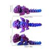 GSHLGAO D Printed Lion Dance view 4
