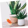 ULTECHNOVO 4pcs Felt Dolls Display Stand Wooden Base Holder for Showcasing Creations for Craft Displays and Home Decor view 4