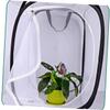 Hohopeti Butterfly Cage Shade Habitat Mesh Cage for Boys and Girls House Outdoor Toys Random Color view 4
