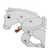Abaodam 4pcs Horse Shadow Puppets Craft Traditional Chinese Shadow Puppet Figures for Creative Play Cultural Appreciation and Storytelling Activities view 3