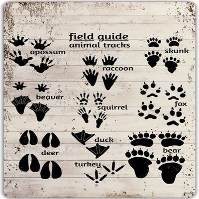 Animal Tracks Guide Sign Nursery Metal Tin Sign Retro Animal Tracks Sign Decor Country Woodland Theme House Wall Decor Farmhouse Cabin Metal Signs for Baby Boys Bathroom Home Bedroom Decor 16x24 in