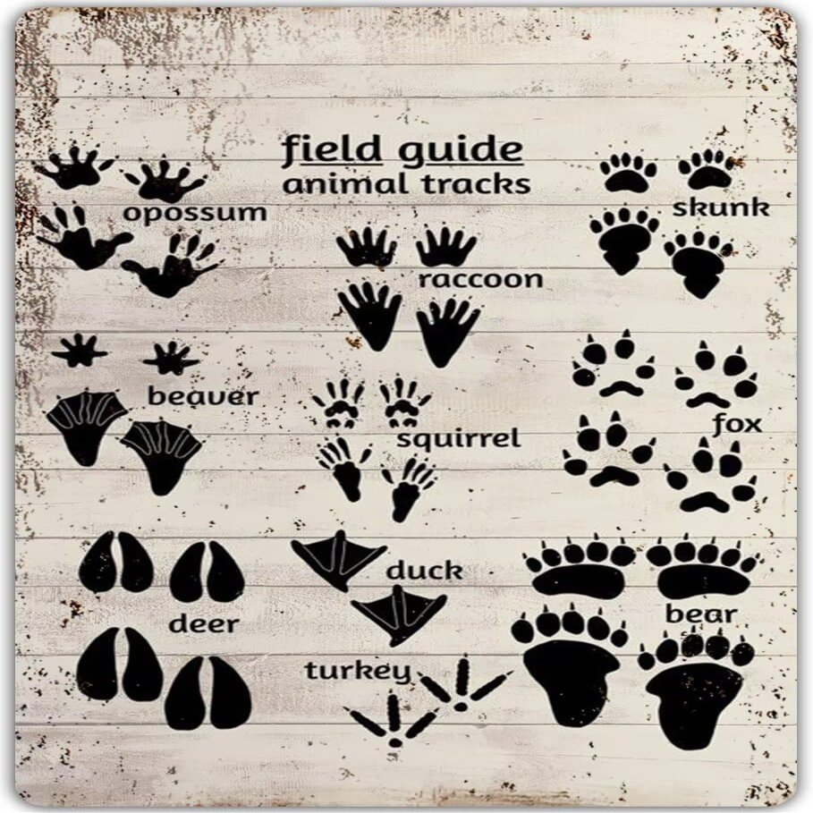 Animal Tracks Guide Sign Nursery Metal Tin Sign Retro Animal Tracks Sign Decor Country Woodland Theme House Wall Decor Farmhouse Cabin Metal Signs for Baby Boys Bathroom Home Bedroom Decor 16x24 in