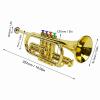 Gold Kid Saxophone Trumpet Toy, 4 Colored Keys Interesting Educational Musical Instruments Children Trumpet Toy view 3