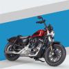 Collection 1/18 Motorcycle Simulation Diecast Model Collection Birthday Present for Harley Forty-Eight Special(with Foam Box) view 3