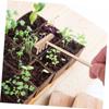 BCOATH 3pcs Mini Zen Garden Rake Garden Tools for Sand Tray Decoration Relaxation and Meditation Compact Design for Easy Storage and Use view 3
