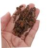 CORHAD 4pcs DIY Bark Model Scenery Material Bag for Model Building Bark Accessories for Indoor Play Scenery Projects Reliable DIY Landscape Base Material view 2