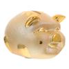 Abaodam Cute Ceramic Piggy Bank for Boys and Girls Large Money Box for Boys and Girls Educational Bank Birthday Decorative for Home view 1