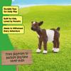Schleich Farm World - 2" Baby Goat Kid Toy for Kids. Realistic Hand-Painted Farm Animal Toys for Boys and Girls. Fun Educational Figure for Screen-Free, Imaginative Learning for Children Ages 3+ 14888 view 3