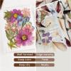 Aboofx 4PCS Dried Flower Storage Set with Blotting Paper, Ziplock Bag and Desiccant, Flower Preservation Kit - Good Seal, High Capacity to Keep Flowers Color and Dry (6.3 x 4.3 inch) view 3