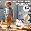 Jimate Interactive Walking Cat Plush Toy with Leash  Electronic Kitty Pet That Meows and Wags Tail, Soft Stuffed Animal Companion for Girls Kids Toddlers Birthday view 3