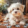 Dog Jigsaw 1000 Pieces-Maltese Dog Cute Pets-Adult Puzzles, Early Childhood Educational Game Puzzles, for Animal Lovers Educational Toys Gift for Boys and Girls view 1