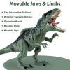 Giganotosaurus Dinosaur Toys for Kids 3-5 & 5-7, Dinosaur Action Figure Toys with Attack Feature, Sound, Roar & Light, Birthday for Boys & Girls view 4