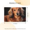 Banner Party Decor Happy Birthday Banner Personalized Banner with Brass Grommets Long haired Dachshund Banner Party Background Yard Banner Sign Backdrop for Indoor Outdoor Decorations 47X71 Inch view 2