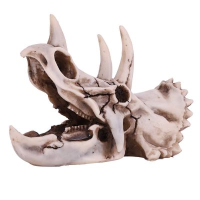 Dioche Dinosaur Skeleton Model, 6.69 * 3.54 * 4.92in Dinosaur Bones Dinosaur with Exquisite Design for Education & Decoration